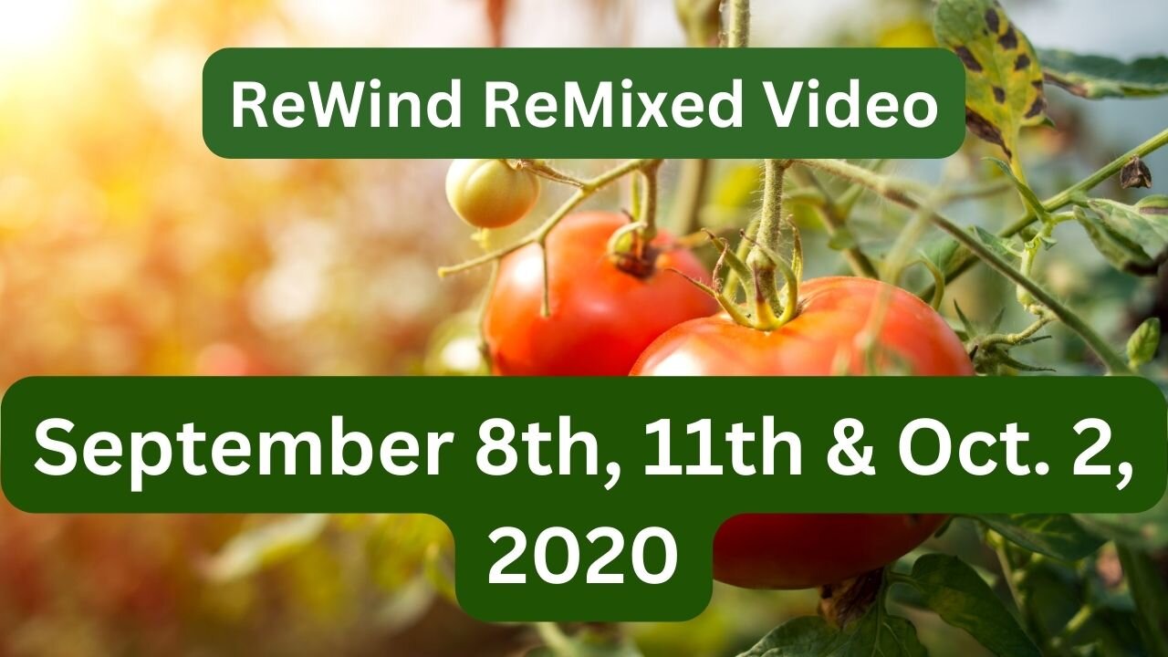 Rebuilding and a Fall Tomato Adventure - Vlog Remix Video Sept & Oct 2020!