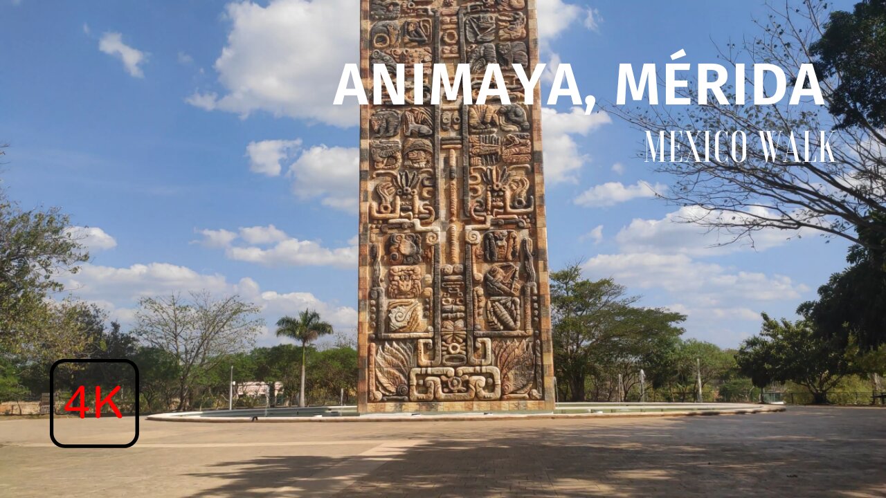 Animaya - Mérida - Yucatán - 4K