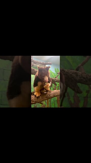 How appetizing eats 🥰🥰🥰