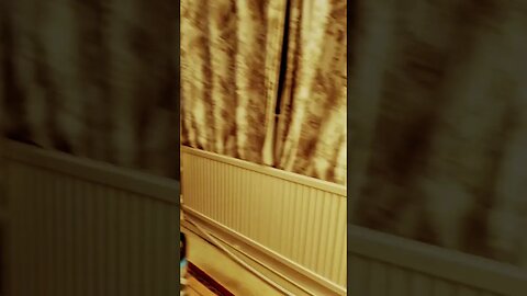 #veiws_viral_video_subscribers_grow time ⏲️ 😪 to wake ⏰️ up sleepy 😴 head and start the day