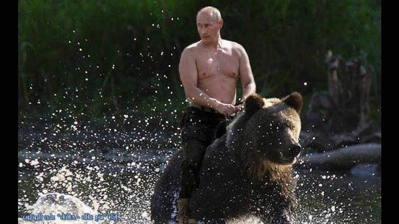 the Russian bear