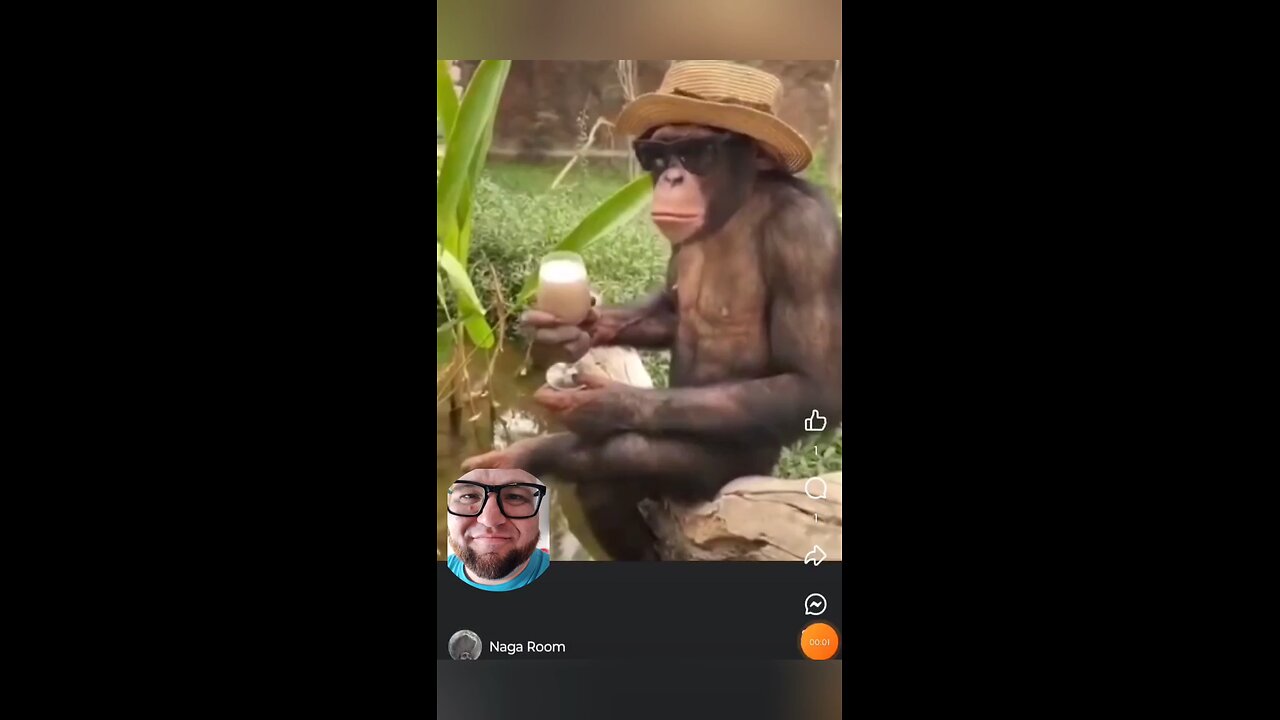 monkey chilling and drinking coffee 😆