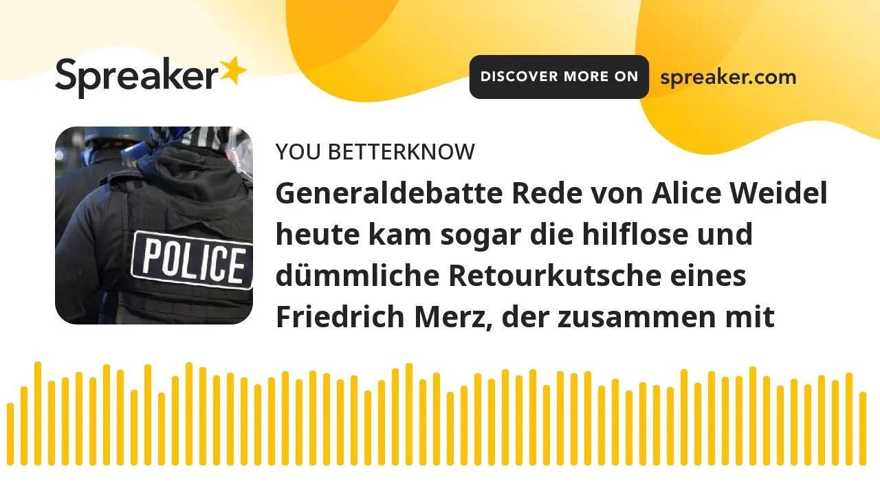 Generaldebatte Rede von Alice Weidel heute kam sogar die hilflose und dümmliche Retourkutsche eines