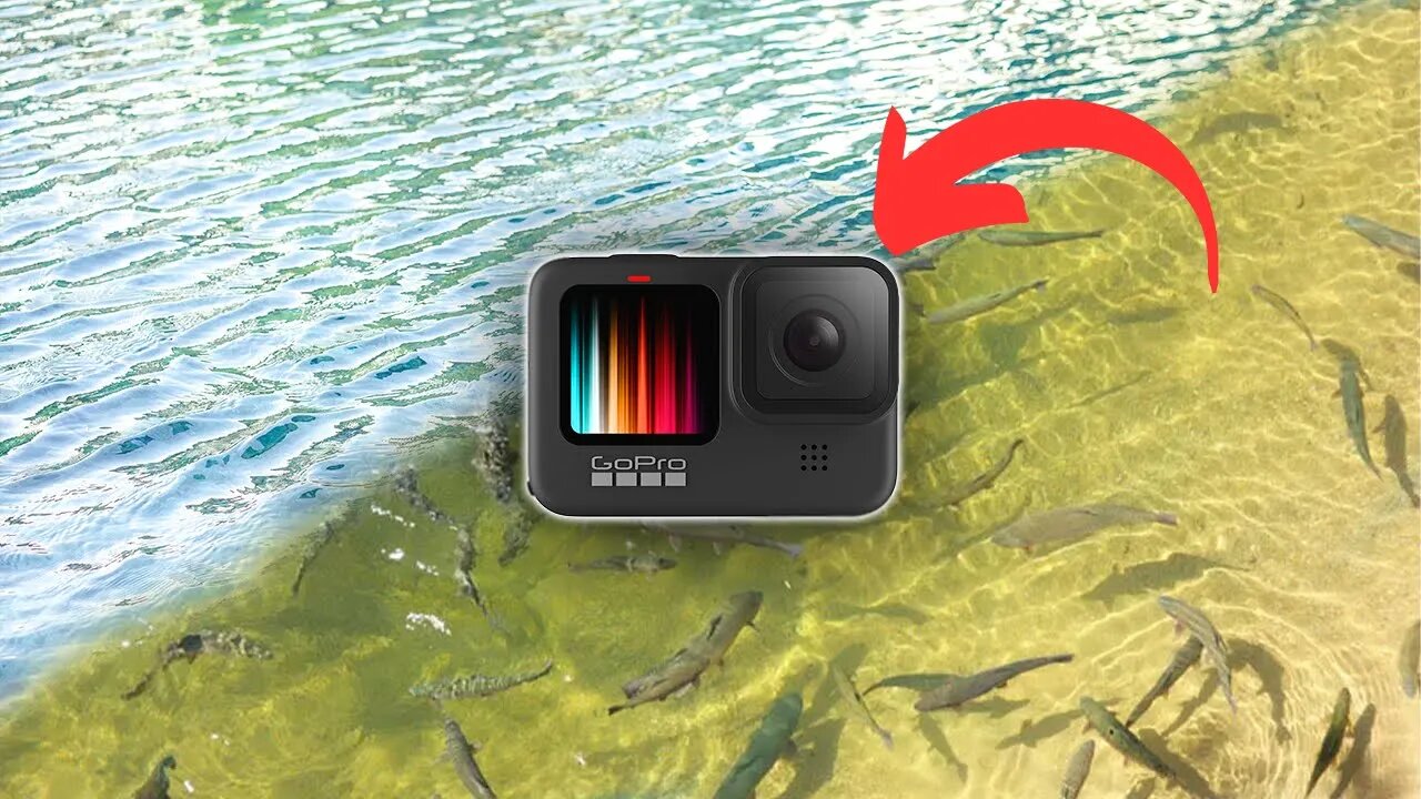 Polarized GoPro Lens.. worth the $ for fishing? catch and cook