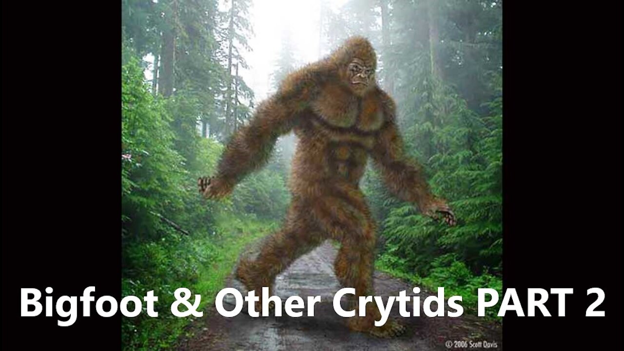 Bigfoot And Other Cryptids PART 2