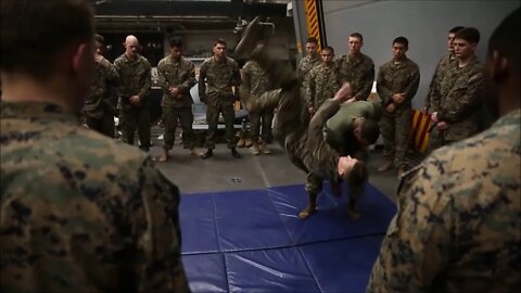 Marines Conduct a Marine Corps Martial Arts Program (MCMAP) Class