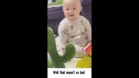 Funny Babies playing with the cactus toy