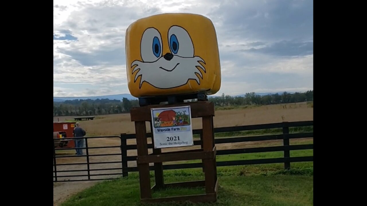 Sonic at Wayside Farm Fun 2021 (part 3)