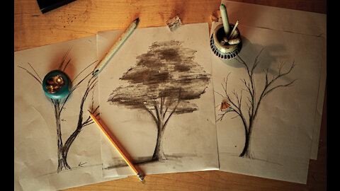 HOW TO DRAW REALISTIC TREES!! A SCIENTIFIC WAY TO LOOK AT TREES AND HOW TO DRAW/PAINT THEM!!