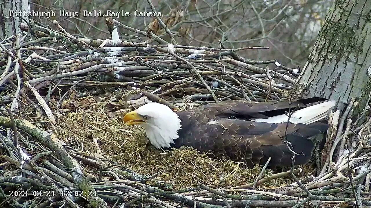 Hays Eagles Mom has Baton Twirling Skills! 32123 17:07