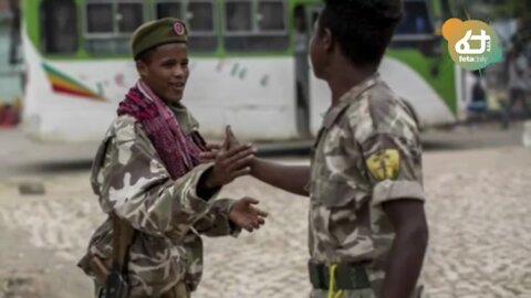 የህወሓትን የጦር መሪዎች የጨረሰችው ሴት