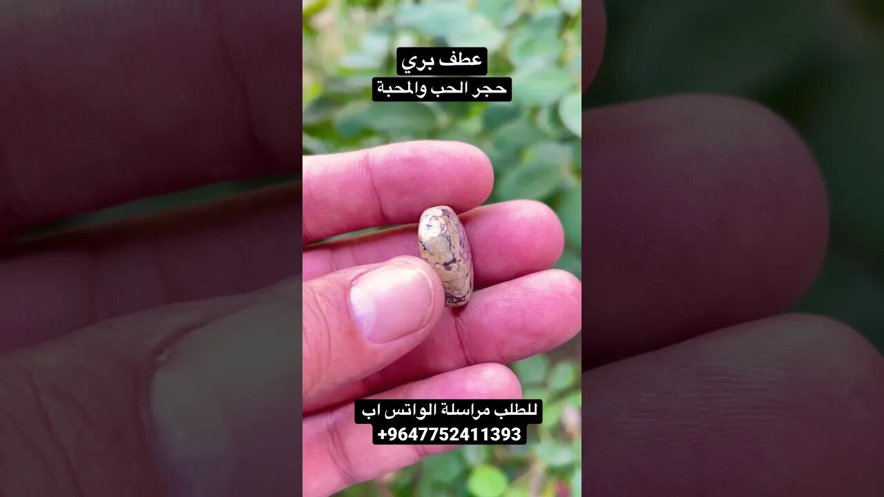 حجر العطف البري