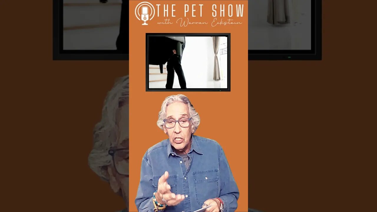 Pet Stress