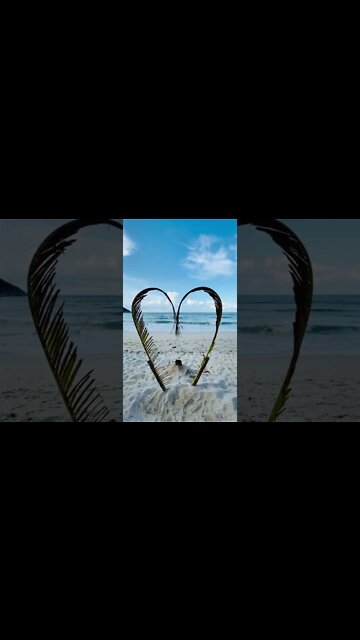 Love by the beach. #shorts