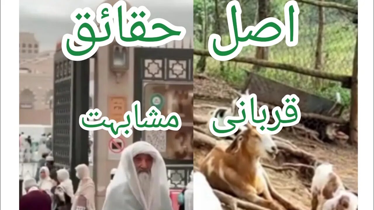 وتعز من تشاء وتذل من تشاء | اللہ پاک جس کو چاہے عزت دے اور جس کو چاہے ذلیل کریں