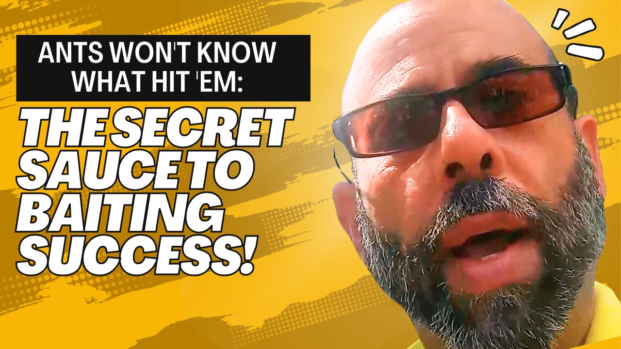 Eliminate Ants Fast Secrets to Effective Bait Application