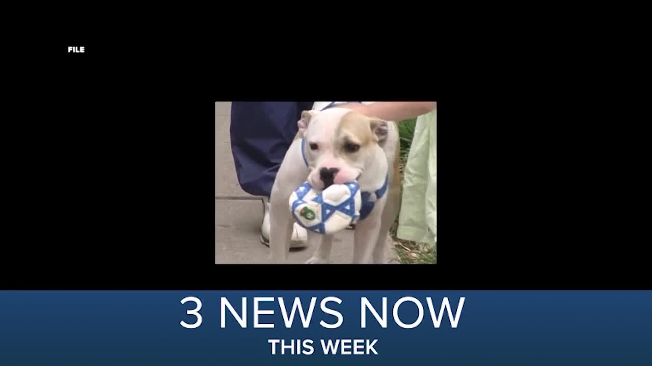 3 News Now This Week | April 3, 2021 - April 9, 2021