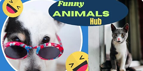 Funny animals 😄hub,funny animals club , 🤣, funny animals dancing 💃😄, funny animals fighting 😄