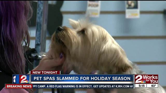 Pet Spas busy this holiday season