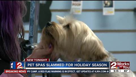 Pet Spas busy this holiday season