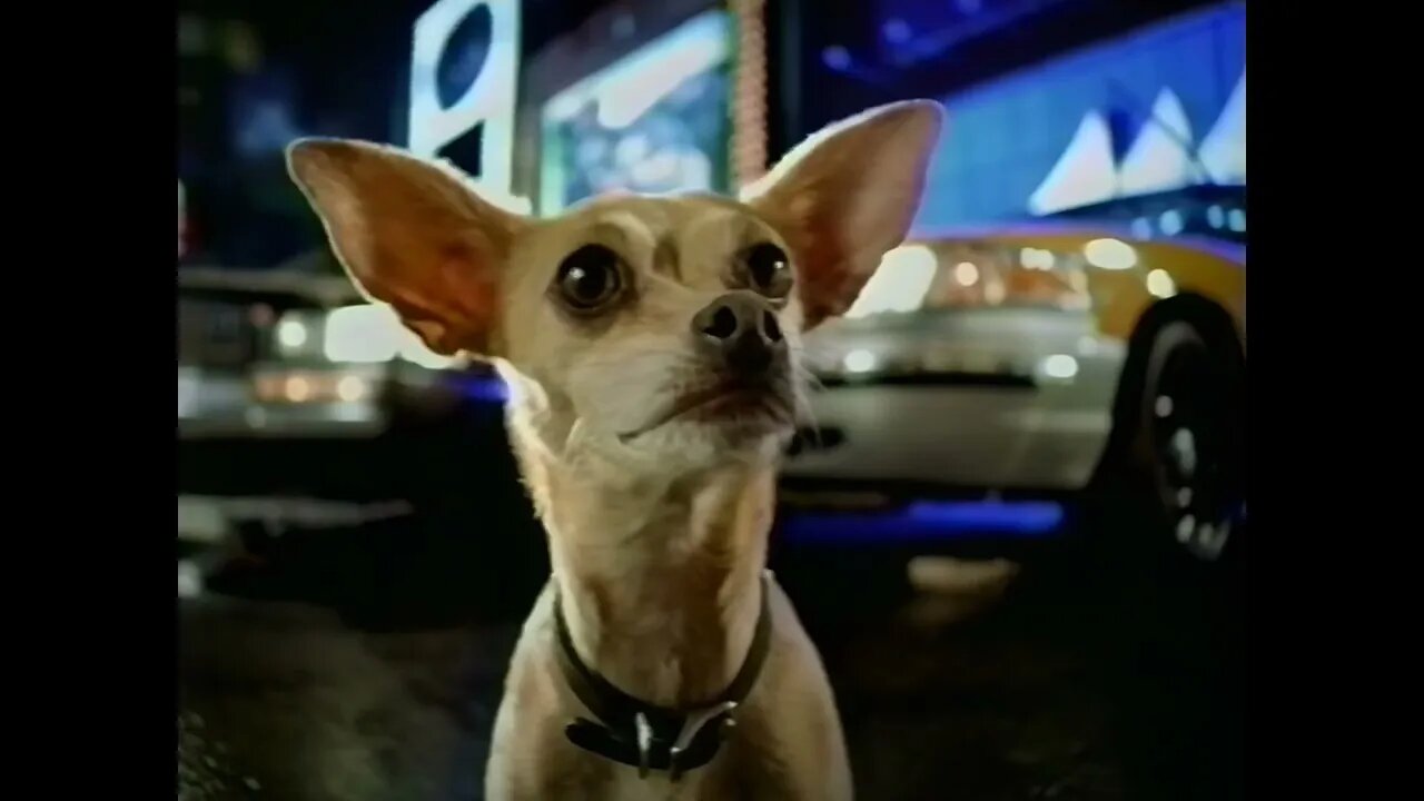 🌮 New Taco Bell Grande Meal (Chihuahua) - Fast Food Commercial 1999