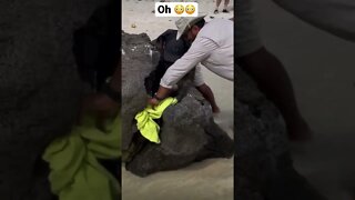 #shorts #viral #saintpee #hype #trendingshorts