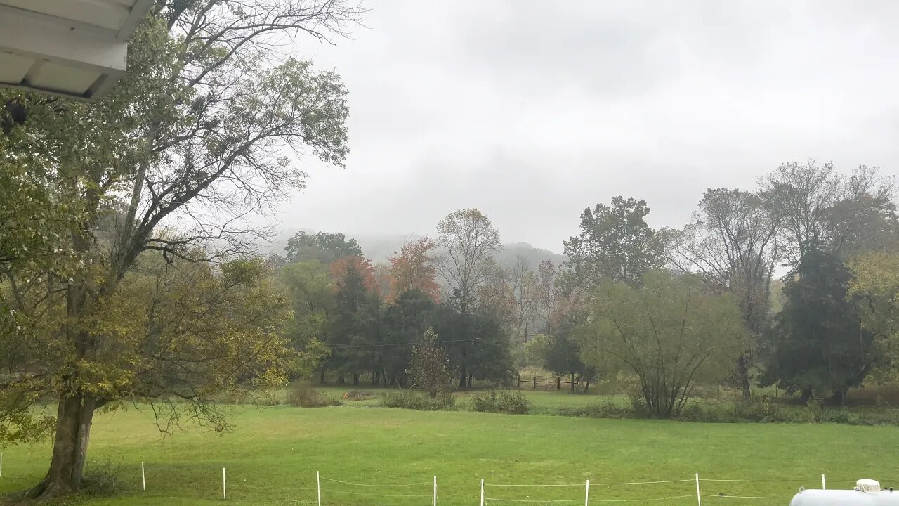 Rain 💦 Fall 🍂 No Filter 🎥