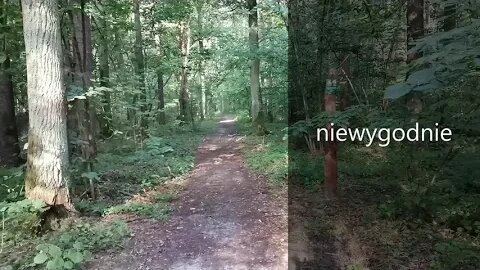 niewygodnie