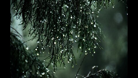 Relaxing sound of rain |