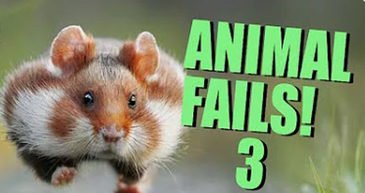 ANIMAL FAILS!