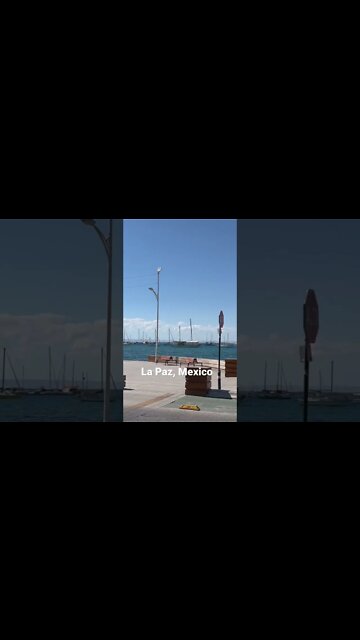 La Paz Mexico #shorts