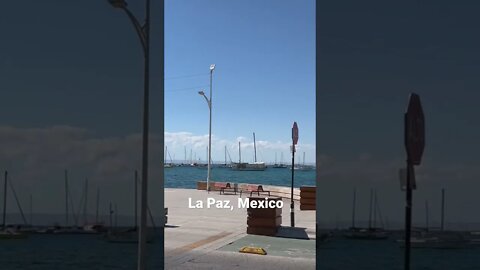 La Paz Mexico #shorts