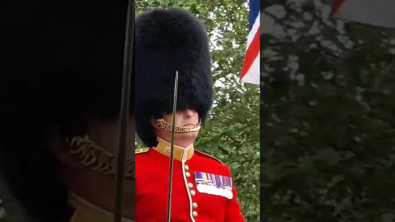 Coldstream guards on horse back #buckinghampalace