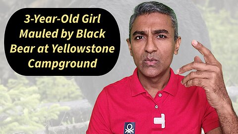 3-Year-Old Girl Mauled by Black Bear at Yellowstone Campground