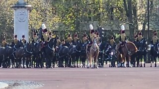 Horse and carriage household cavalry #buckinghampalace