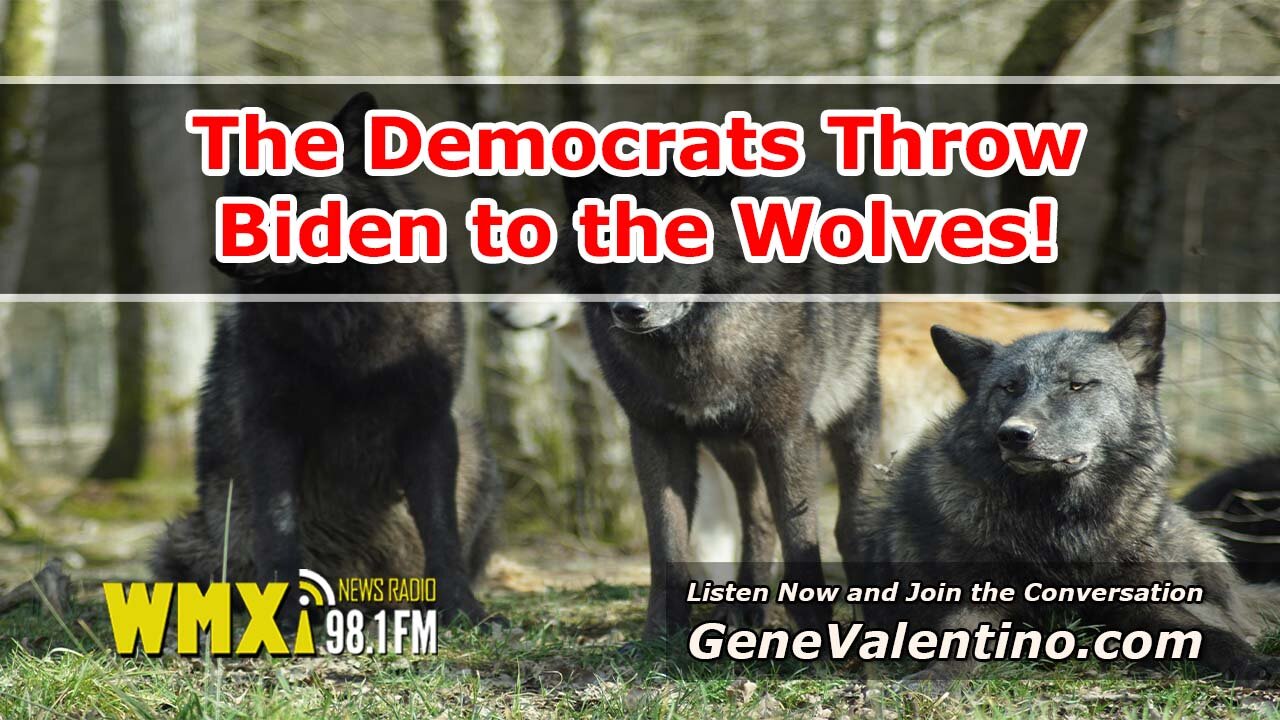 The Democrats Throw Biden to the Wolves!