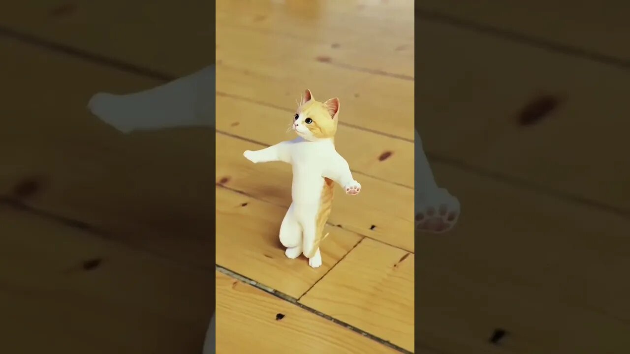 Cat dance #shorts #youtubeshorts #viralshorts