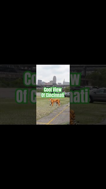 Cool View of Cincinnati🐅 #Get2Steppin w/ S2