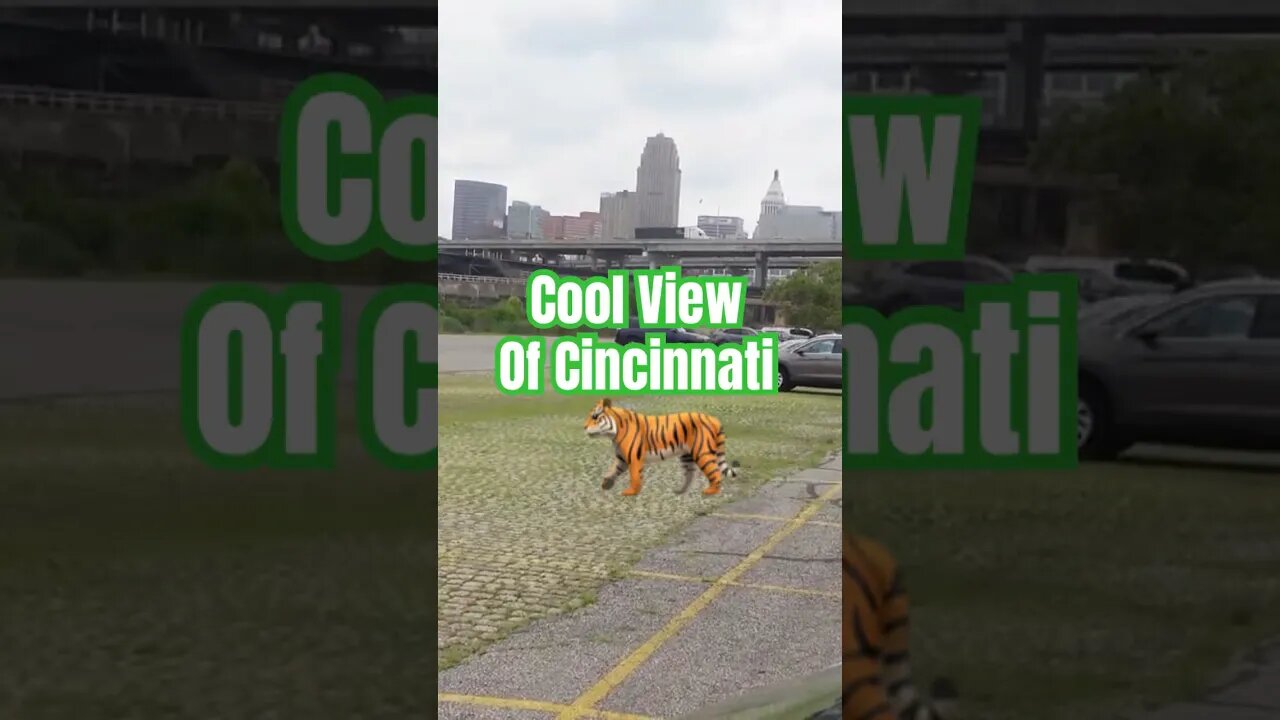 Cool View of Cincinnati🐅 #Get2Steppin w/ S2