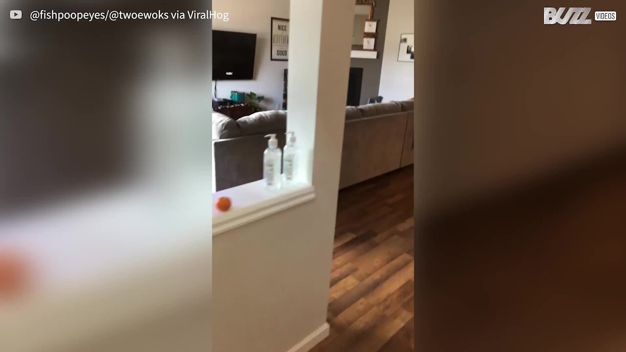 Twins have secret hiding place accessible only to them