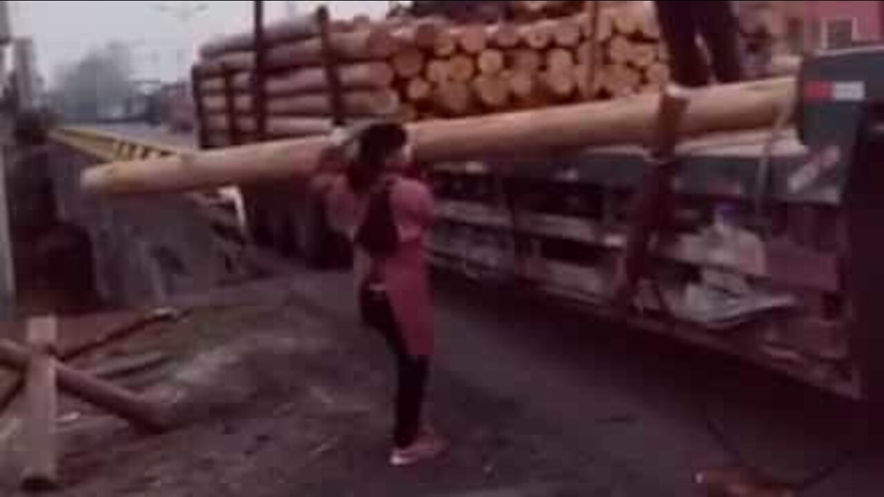 Une femme minuscule déplace un immense tronc d'arbre