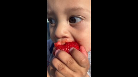 Best Strawberry Eating