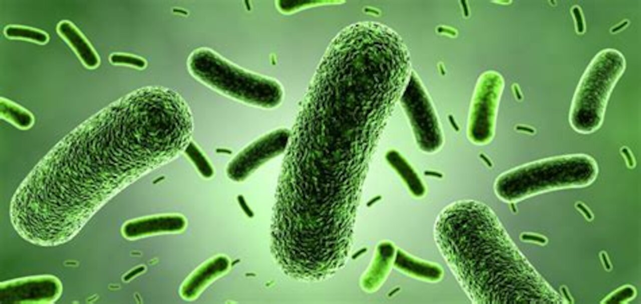 Psychic Focus on Do Bacteria Have Souls