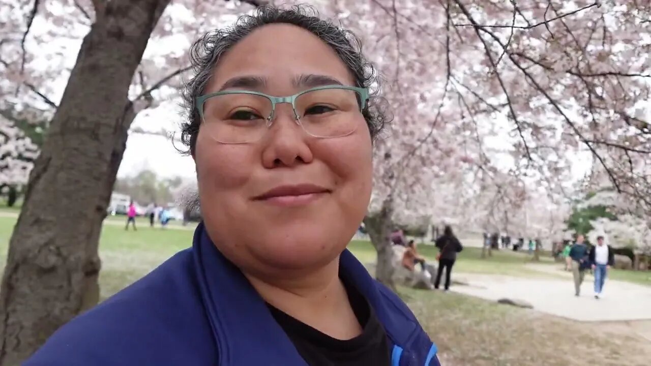 Peak Blooms! Cherry Blossom Season in Washington, DC