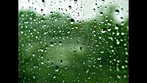 Gentle rain🌧️🌧️