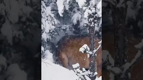 #naturelovers