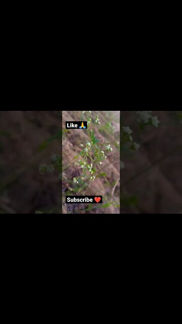 number likh 🤨😘🙏shorts,#shorts,joke fun shorts,minecraft shorts,short,joke fun shorts youts #shorts