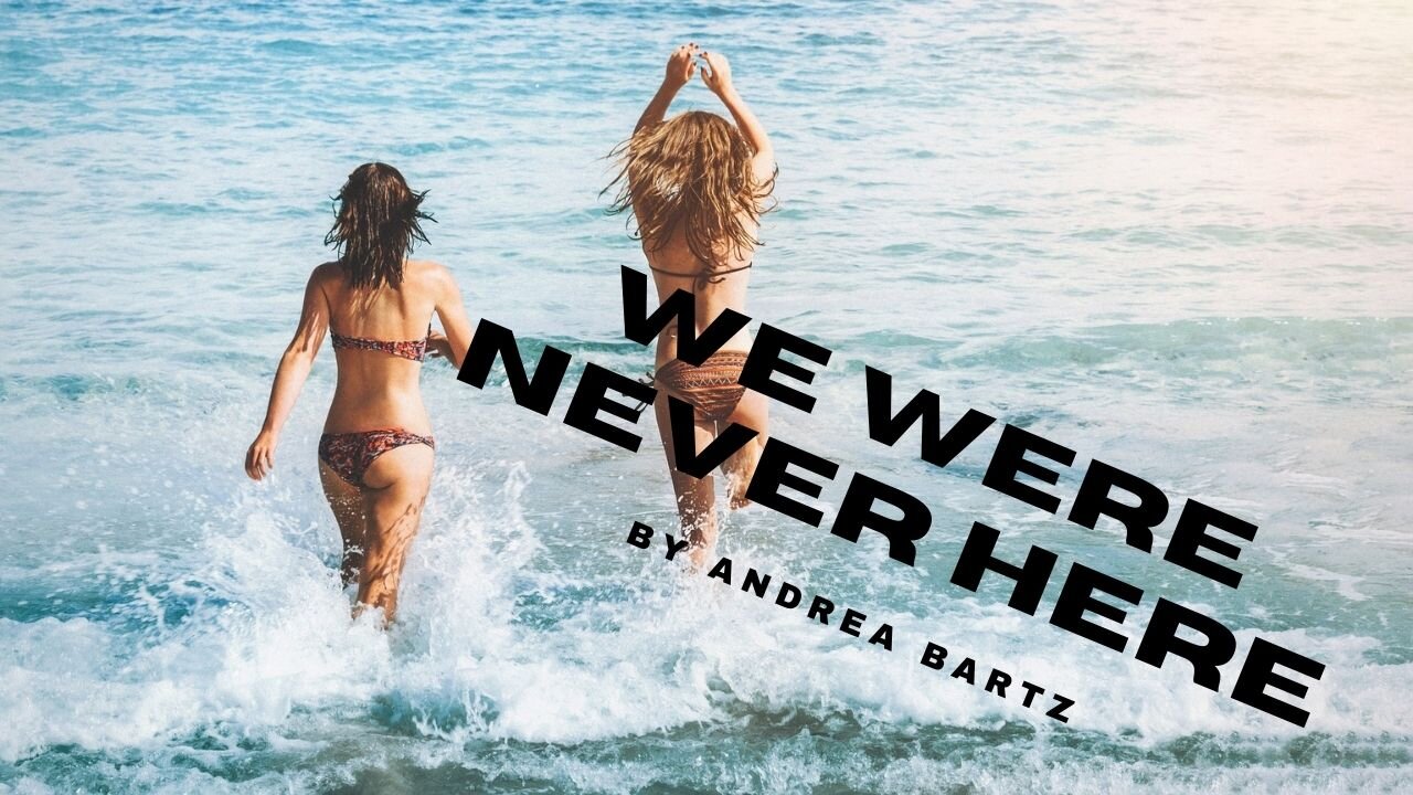 WE WERE NEVER HERE by Andrea Bartz