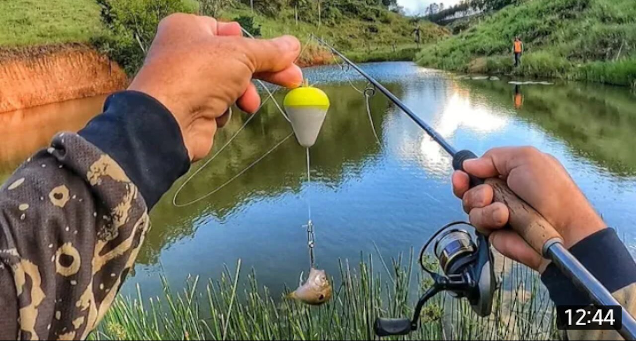 A lake where no one ever fished😱sera that has fish👆