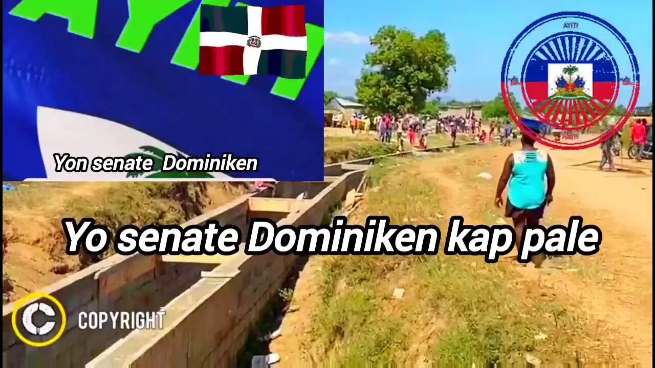 Vi n tande yon senate Dominiken kap pale de haitian